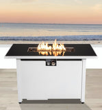 25 H x 42 W Steel Outdoor Fire Pit Table with Lid B120142303