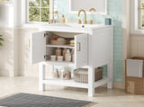 24" Modern Bathroom Vanity with Elegant Twill Design & Soft-Close Hinges, Bathroom Cabinet with Back N710P446535K
