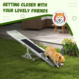 Dog Agility Ramp Pet Seesaw 36580704
