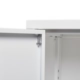 Metal Storage Cabinet with Locking Doors and Adjustable Shelf, Filing Storage Cabinet , 66558843