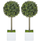 Artificial Plant/Green plants 81278399
