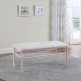 Powder Pink Bench B062P153592