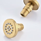 Single-Handle 4-Spray Patterns Bathroom Rain Shower Faucet with Body Jet Handshower in Brushed Gold W1219133589