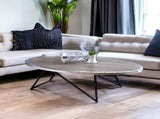 Allis Weathered Gray Oak & Metal Finish Coffee Table B2726P281893
