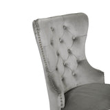 Erica 2 Piece Wood Legs Dinning Chair Finish with Velvet Fabric in Light Gray 808857794864