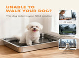 Dog Potty Tray 81899521