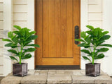 2-Pack 35.5" Artificial Fiddle Leaf Tree - 32 Realistic Leaves, PEVAPE Material, Green 40262150