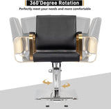 ZNTS Salon Chair Styling Barber Chair, Beauty Salon Spa Equipment with Heavy Duty Hydraulic Pump, 91614347