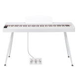 ZNTS GDP-203 88 Key Standard Full Weighted Keyboards Digital Piano with Metal Stand, Power Adapter, 86510402