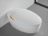 Unique Smart Toilet with Bidet Built In, Intelligent One Piece Toilet For Modern Bathroom, Auto W2826P230233