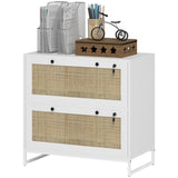 File Cabinet/ Storage cabinet 74438568