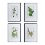 Set of 4 Botanical Black And White Fern Wall Art , Wall Decor for Living Room Dining Room Entryway, W2078130254