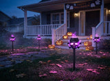 4 Pack Halloween Solar Stake Lights, 3D Skull Decor with Purple Frame Lighting, IP44 Waterproof 07355346