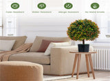 2-Pack 22" Artificial Topiary Ball Tree - 15" Boxwood BallsOrange Fruits, PE/PVCCement, 80983090