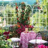 2 Pack Metal Garden Trellis 86.7" x 19.7" Rustproof Trellis for Climbing Plants Outdoor Flower W1586104502