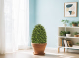 3FT Artificial Boxwood Cone Tree Faux Shrub for Outdoor Planter and Entryway Dcor 2pcs/set W2945P323221