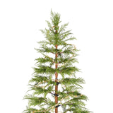 6 Feet Artificial Full Christmas Tree Includes LED Lights and Metal Stand, 612 Tips Full Tree,Xmas N710P181792S