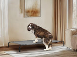 50"D x 31"W x 8"H Dog Bed 46504503