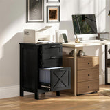 File Cabinet/ Storage cabinet 09626340