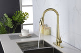 ZNTS Gold Kitchen Faucets with Pull Down Sprayer, Kitchen Sink Faucet with Pull Out Sprayer, Fingerprint K-4012-BG