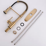 Commercial Brushed Nickel Kitchen Faucet with Pull Down Sprayer, Single Handle Single Lever Kitchen W1932P172308