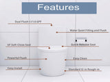 Elongated One Piece Toilet White W2826P192007