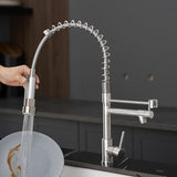 Commercial Kitchen Faucet with Pull Down Sprayer, Stainless Steel Single Handle Single Lever Kitchen W1932P224880