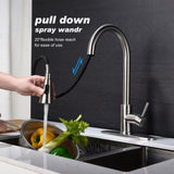 Kitchen Faucet with Pull Out Spraye W2287P183089