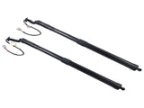 2X Tailgate Gas Struts Unit Assy Rear for Lexus NX300 NX300h 2.0L AZ10 2018-2021 68920-79017 06287096