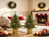 4ft Christmas Tree Set of 2 Aspen Fir Dual Color LED Remote Battery Operated 11 Modes 26539305
