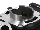 Cylinder Piston Kit fit for Yamaha DT175 F G H 1978-2014 66mm Bore 2A7-11311-00 97644663