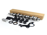 Camshaft Lifter Kit for 2004-2006 Volkswagen New Beetle Jetta MK4 Golf BEW 038145215 71153053