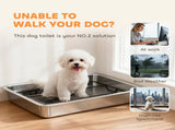 Dog Potty Tray 81899521