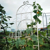 2 Pack Metal Garden Trellis 86.7" x 19.7" Rustproof Trellis for Climbing Plants Outdoor Flower W1586104502