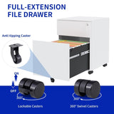 2 Drawer Mobile File Cabinet with Lock Steel File Cabinet for Legal/Letter/A4/F4 Size, Fully 73782513