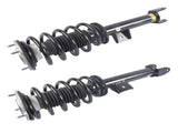 Set of 2 Front Shock Struts w/ Coil Spring Fits for Tesla Model 3 M3 RWD 2017-2021 104436401G 25890645