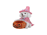 Halloween White Teddy Puppy Figurine, Witch Dog Holding Pumpkin Candy Bowl Decoration 01838696