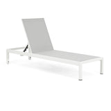 ZNTS Outdoor Chaise Lounge Chair Set of 2, Aluminum Adjustable Outside Chair for Pool Patio Beach Yard, N779P248447W