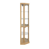 Lighted Corner Curio Cabinet - Elegant Glass Display Case Living Room & Bar Storage - Perfect W1758P294616