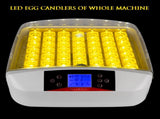 42-Egg Practical Fully Automatic Poultry Incubator with Egg Candler US Standard 08717076