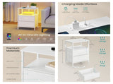 Modern Nightstand with Charging Station & App-Controlled LED Lights, Bed Side Table with 2 Drawers, 18941839