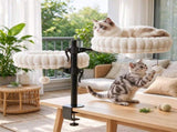 Indoor Cat Desk Hammock Bed, 2 Removable Beds with 2 Hanging Balls for Desk & Window, Holds Up to 24 T3971P612035