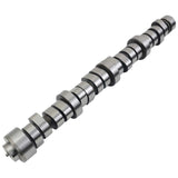 Camshaft Replacement for 2006-2008 Hemi V8 5.7L Engine Dodge Ram 1500 2500 3500 Laramie 4x2 4x4 24941437