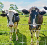 Farm Fence 4ft x 164ft 14Gauge Heavy Zinc Coating Cattle Fence,Galvanized Field Wire Fencing Deer W2286P270226