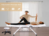 Massage Salon Tattoo Chair with Two Trays Esthetician Bed with Hydraulic Stool,Multi-Purpose W1422132167