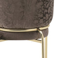 Onyx Modern Style 2PC Chairs made with Velvet fabric and Gold coated metal Legs -Dark Gray B009P332651