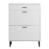 Shoe Cabinet, Freestanding Shoe Rack Organizer with Drawers & Metal Legs, Modern Shoe 14285067