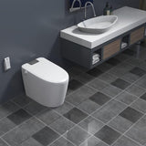 ZNTS Smart Toilet Bidet Combo with Foot Sensor Open Cover/Seat, LED Display, Self-Cleaning Nozzle, Heated W1219P232246