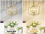 4-Light Farmhouse Kitchen Chandeliers, Vintage Cage Light Fixture Adjustable Height Chandeliers for W1592P230613