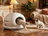 Cat Litter Box 87962862
